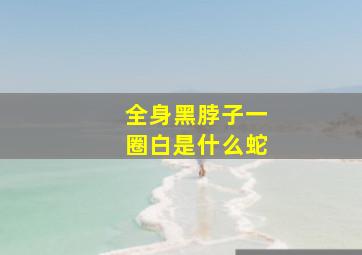 全身黑脖子一圈白是什么蛇