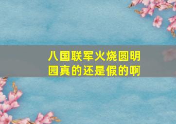 八国联军火烧圆明园真的还是假的啊