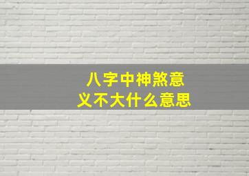 八字中神煞意义不大什么意思