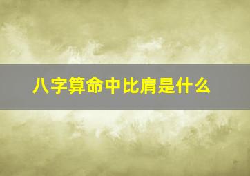 八字算命中比肩是什么