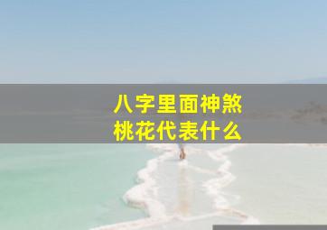 八字里面神煞桃花代表什么