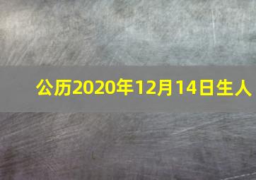 公历2020年12月14日生人