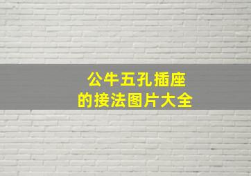 公牛五孔插座的接法图片大全