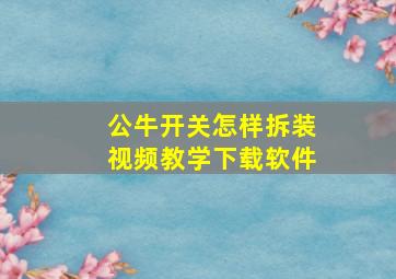 公牛开关怎样拆装视频教学下载软件