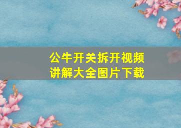 公牛开关拆开视频讲解大全图片下载