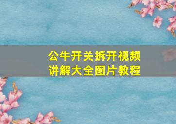 公牛开关拆开视频讲解大全图片教程