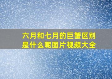 六月和七月的巨蟹区别是什么呢图片视频大全