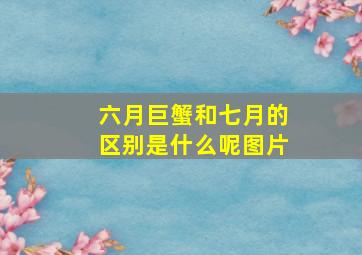 六月巨蟹和七月的区别是什么呢图片