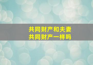 共同财产和夫妻共同财产一样吗