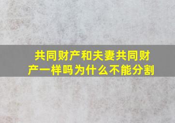 共同财产和夫妻共同财产一样吗为什么不能分割