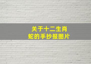 关于十二生肖蛇的手抄报图片