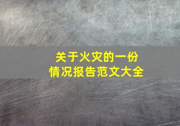 关于火灾的一份情况报告范文大全