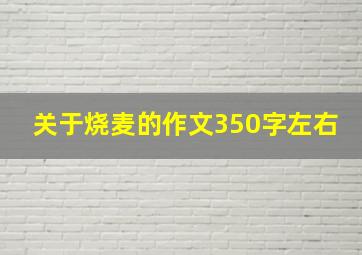 关于烧麦的作文350字左右