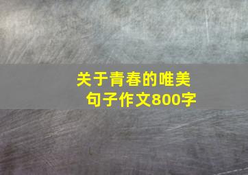 关于青春的唯美句子作文800字