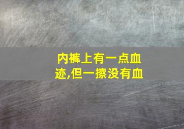 内裤上有一点血迹,但一擦没有血