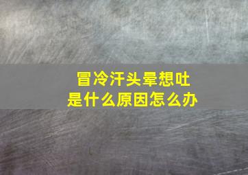 冒冷汗头晕想吐是什么原因怎么办