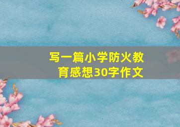 写一篇小学防火教育感想30字作文