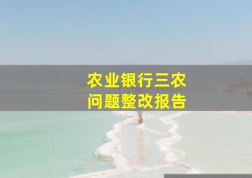 农业银行三农问题整改报告