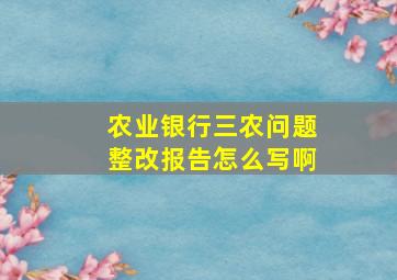 农业银行三农问题整改报告怎么写啊