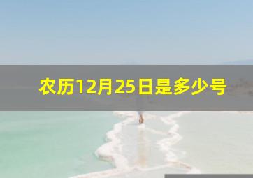 农历12月25日是多少号