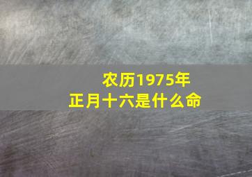 农历1975年正月十六是什么命