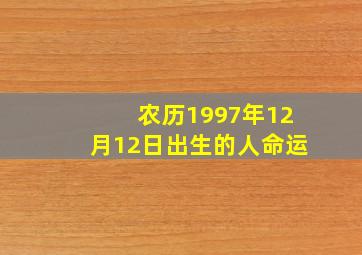 农历1997年12月12日出生的人命运