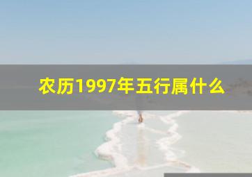 农历1997年五行属什么