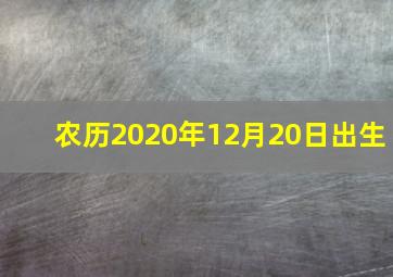 农历2020年12月20日出生