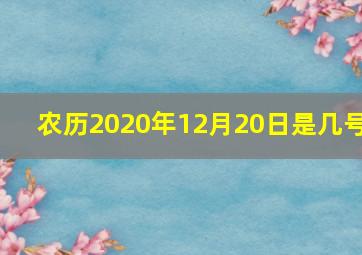 农历2020年12月20日是几号