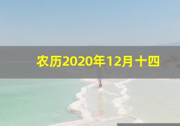 农历2020年12月十四