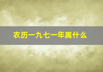 农历一九七一年属什么