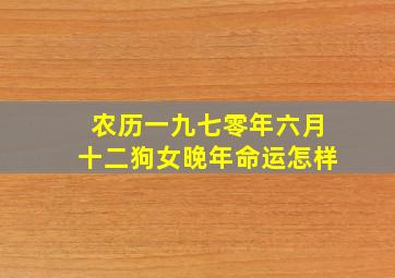 农历一九七零年六月十二狗女晚年命运怎样