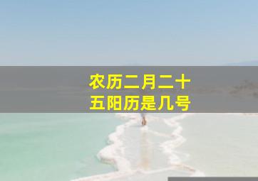 农历二月二十五阳历是几号