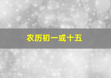 农历初一或十五