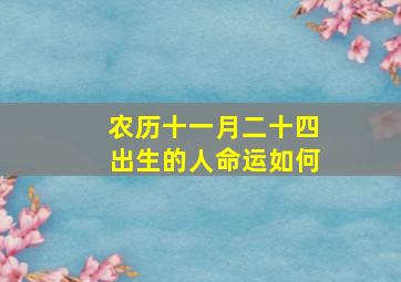 农历十一月二十四出生的人命运如何