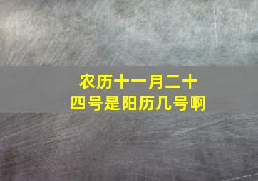 农历十一月二十四号是阳历几号啊