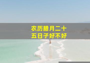 农历腊月二十五日子好不好