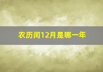 农历闰12月是哪一年