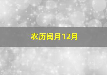 农历闰月12月