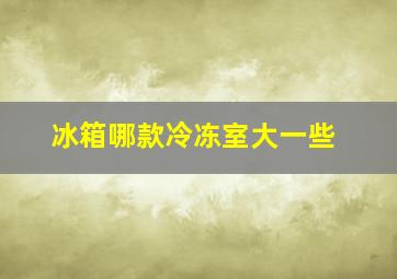 冰箱哪款冷冻室大一些