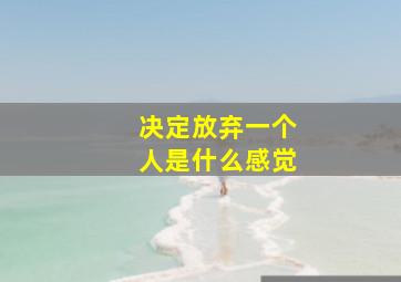 决定放弃一个人是什么感觉