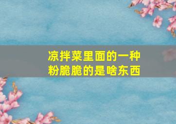 凉拌菜里面的一种粉脆脆的是啥东西