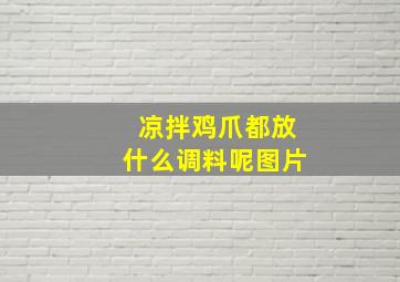 凉拌鸡爪都放什么调料呢图片