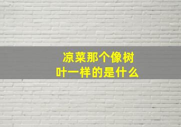 凉菜那个像树叶一样的是什么