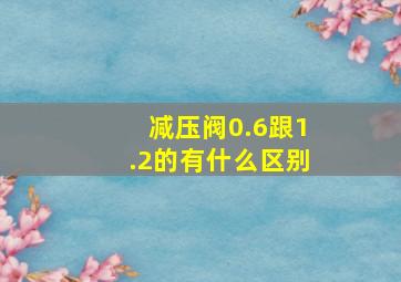 减压阀0.6跟1.2的有什么区别