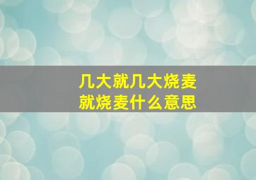 几大就几大烧麦就烧麦什么意思