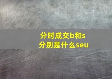 分时成交b和s分别是什么seu