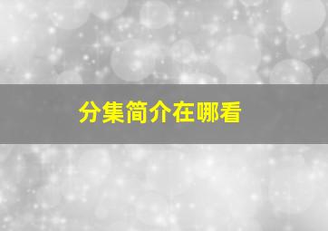 分集简介在哪看