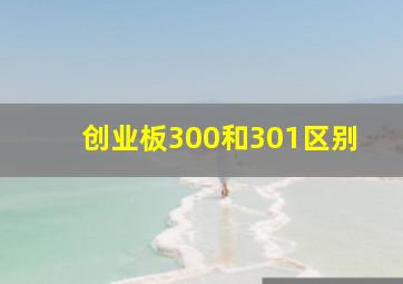 创业板300和301区别