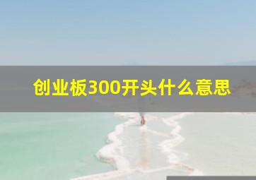 创业板300开头什么意思